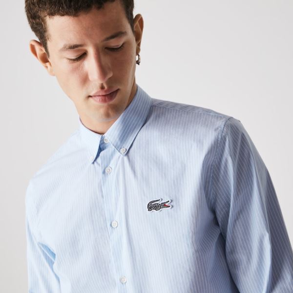 Lacoste Lacoste x National Geographic Regular Fit Striped Cotton Shirt Pánské - Šortky Blankyt / Bíl